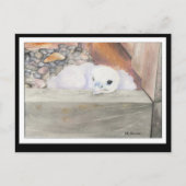 Carte postale B.Weaver Orion (Devant)