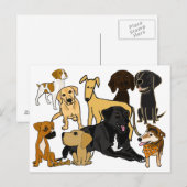Carte postale BA - Chiens de Chien de Chien (Devant / Derrière)