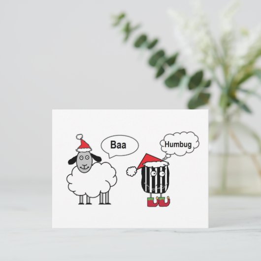 Carte Postale Baa Humbug (Debout devant)