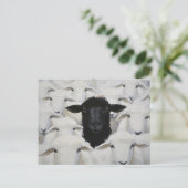 Carte Postale Baa-tle of Individuality (Debout devant)