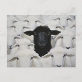 Carte Postale Baa-tle of Individuality (Devant)