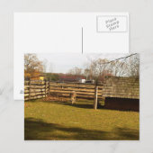 Carte Postale Baaa ! (Devant / Derrière)