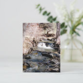 Carte Postale Babbling Brook (Debout devant)