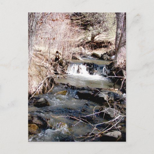 Carte Postale Babbling Brook (Devant)