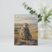 Carte Postale Baboon dans le Parc National d'Awash Éthiopie Voya (Debout devant)