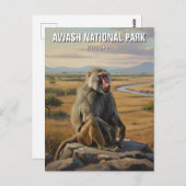 Carte Postale Baboon dans le Parc National d'Awash Éthiopie Voya (Devant / Derrière)