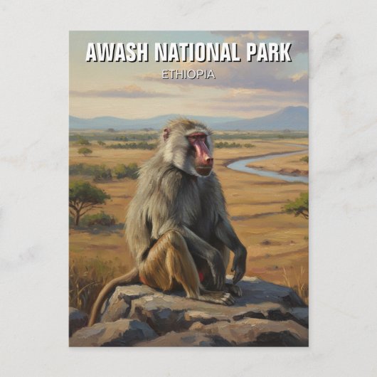 Carte Postale Baboon dans le Parc National d'Awash Éthiopie Voya (Devant)