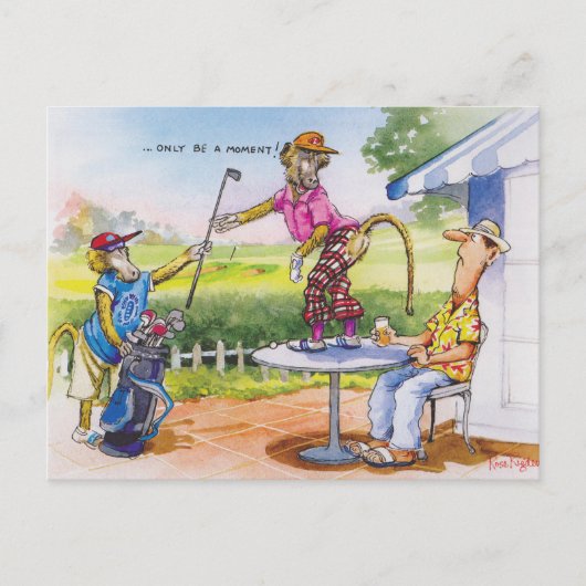 Carte Postale Baboons amusants (Devant)