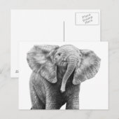 Carte postale Baby African Elephant (Devant / Derrière)