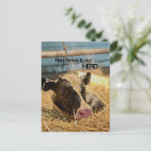 Carte Postale Baby Announcement Postcard (Debout devant)