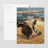 Carte Postale Baby Announcement Postcard (Devant / Derrière)