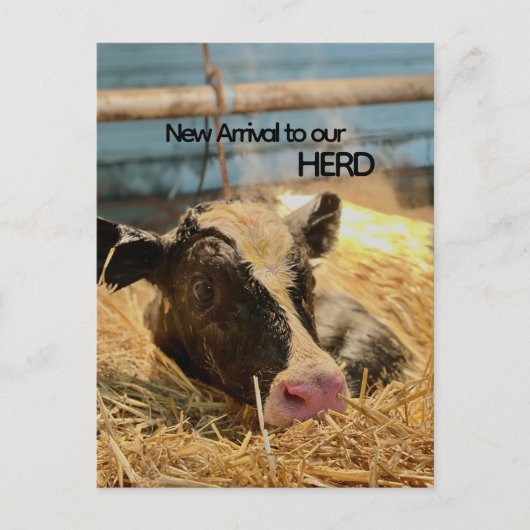 Carte Postale Baby Announcement Postcard (Devant)