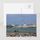 Carte Postale Baby Beach (Devant / Derrière)