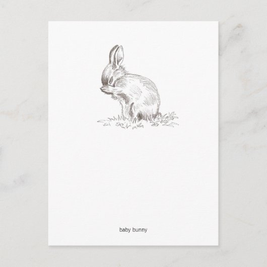 Carte postale Baby Bunny (Devant)