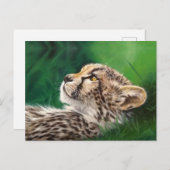 Carte postale Baby Cheetah (Devant / Derrière)