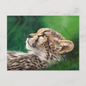 Carte postale Baby Cheetah (Devant)