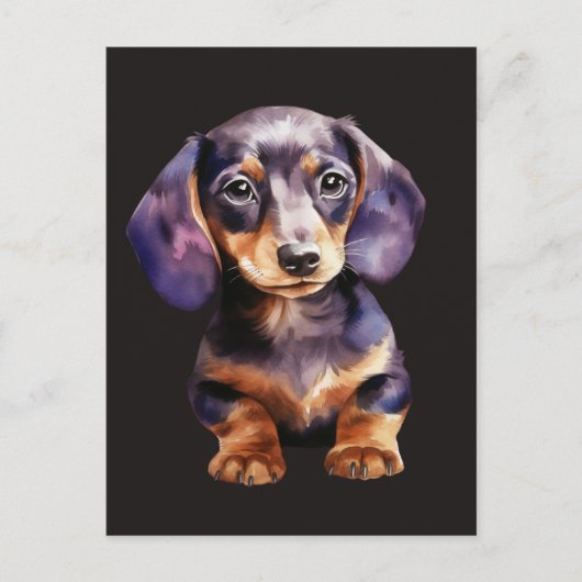 Carte Postale Baby Dachshund (Devant)