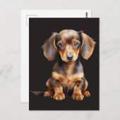 Carte Postale Baby Dachshund (Devant / Derrière)