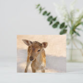 Carte Postale Baby Deer (Debout devant)
