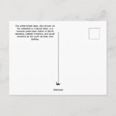 Carte postale Baby Deer (Dos)