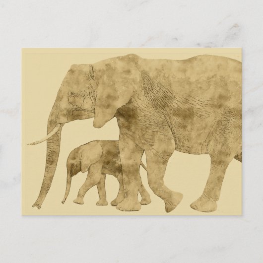 Carte Postale Baby Elephant avec c'est Mère (Devant)