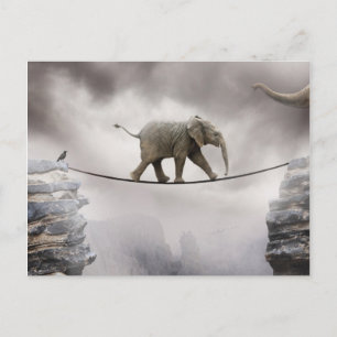 Carte Postale Baby Elephant Walks The Tightrope