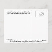 Carte Postale baby fox 01 (Dos)