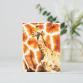 Carte Postale Baby Giraffe (Debout devant)