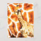 Carte Postale Baby Giraffe (Devant)