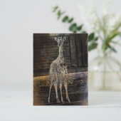 Carte Postale Baby Giraffe (Debout devant)