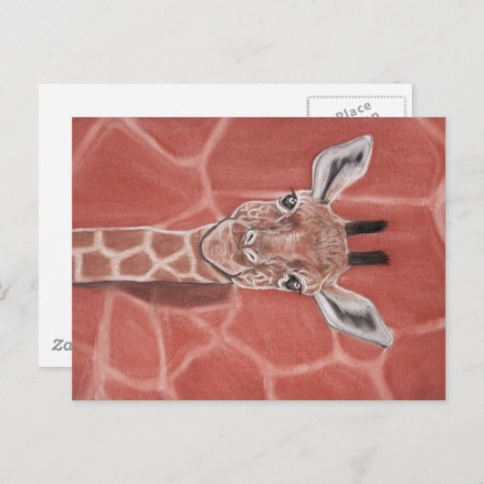 Carte Postale Baby Giraffe (Devant / Derrière)