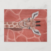 Carte Postale Baby Giraffe (Devant)