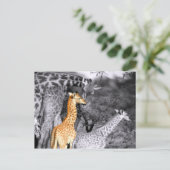 Carte Postale Baby Giraffe (Debout devant)