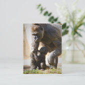 Carte Postale Baby Gorilla (Debout devant)