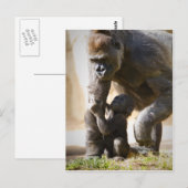 Carte Postale Baby Gorilla (Devant / Derrière)