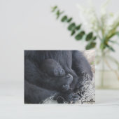 Carte Postale Baby Gorilla (Debout devant)