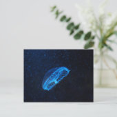 Carte Postale baby jelly fish (Debout devant)