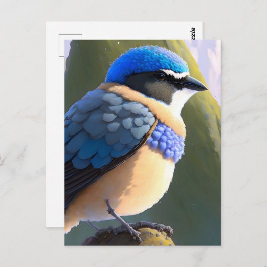 Carte Postale Baby Mountain Bluebird, poste (Devant / Derrière)