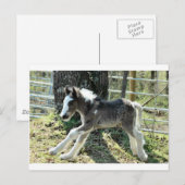 Carte Postale Baby Shaolin 2 (Devant / Derrière)