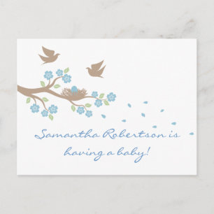 Carte postale Baby shower de nids d'oiseaux