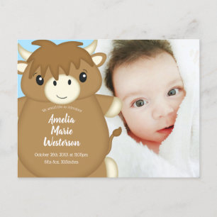 Carte Postale Baby shower écossais de vache Highland Blue