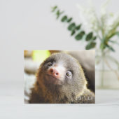 Carte postale Baby Sloth (Debout devant)