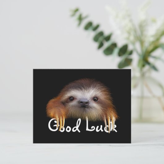 Carte Postale Baby Sloth Bonne Chuck Post Card (Debout devant)