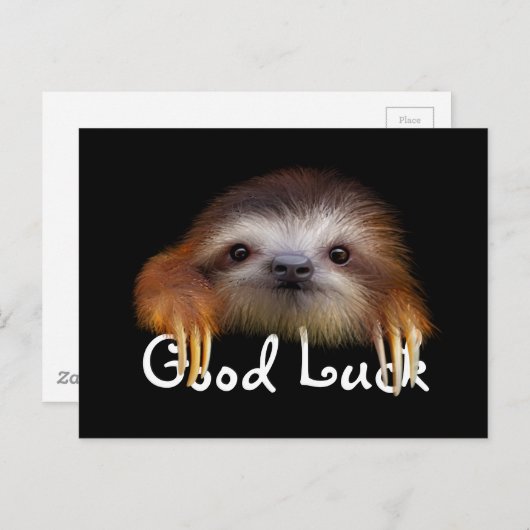 Carte Postale Baby Sloth Bonne Chuck Post Card (Devant / Derrière)