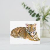 Carte Postale Baby Sumatran Cub_ (Debout devant)