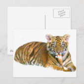 Carte Postale Baby Sumatran Cub_ (Devant / Derrière)