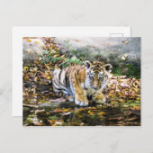 Carte postale Baby Tiger Cub (Devant / Derrière)