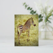 Carte Postale Baby Zebra (Debout devant)