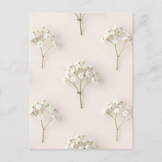 Carte Postale Baby's Breath Delicate Neutral Pattern (Devant)