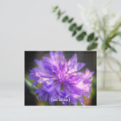Carte Postale Bachelors Button Cornflower (Debout devant)